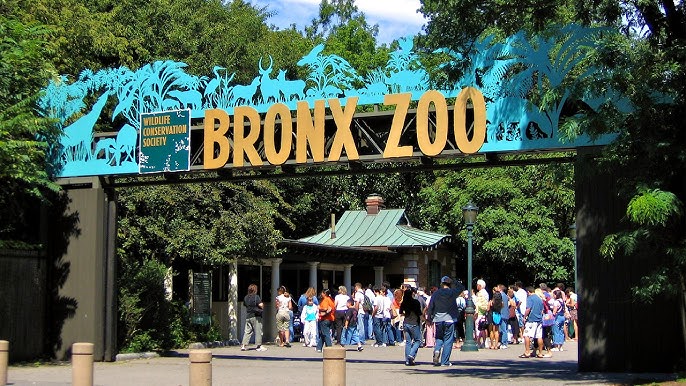 Bronx Zoo Class Action Lawsuit